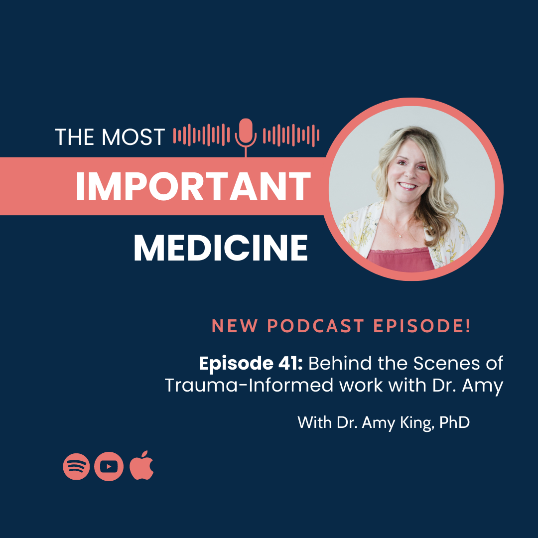 Episode 41: Behind the Scenes of Trauma-Informed Work with Dr. Amy ...